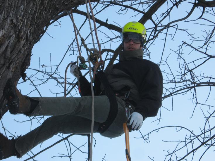 Tree Climbing Safety First